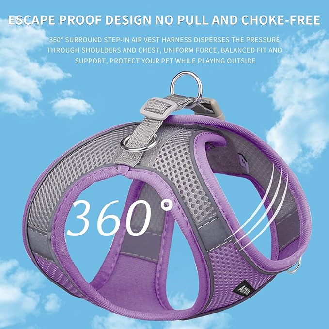AIITLE Easy Walk Dog Harness and Leash Set - Pet Supply No Pull, Step in Adjustable Dog Harness with Padded Vest for Spring, Dog Harness No Choke Over, Easy to Put on Medium Dogs Purple L