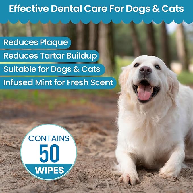 Replenish Dental Wipes for Dogs and Cats - Dog Teeth Cleaning Wipes - Pet Dental Finger Wipes for Dogs β Easy to Use Gentle Pet Dental Wipes - Effective Dog Teeth Cleaner - 50 Count
