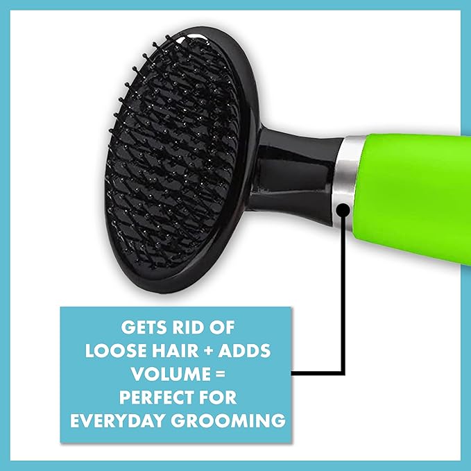 CONAIRPRO Dog & Cat Dog Brush for Shedding, Small Slicker Brush with Reinforced Metal Tips, Ideal for Smaller Breeds Green