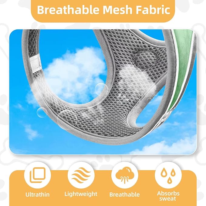 Dog Harness with Leash Set, Adjustable Soft Mesh Padded Reflective Dog Harnesse, Dog Leash with Soft Padded Handle, Puppy Harness and Leash Set for Walking,Training - Green, XS