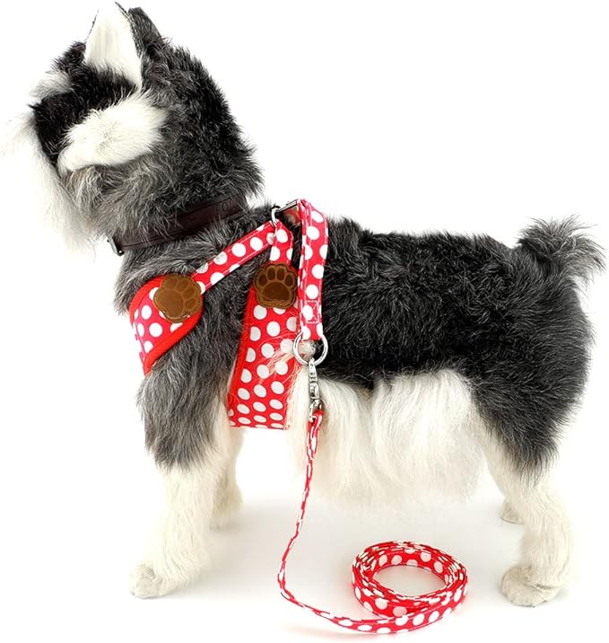 SMALLLEE_LUCKY_STORE New Soft Mesh Nylon Vest Pet Cat Small Medium Dog Harness Dog Leash Set Leads Red, M Chest:11.5"-15.5",Weight 6.5-11lbs (CWYP00068-Red-M)