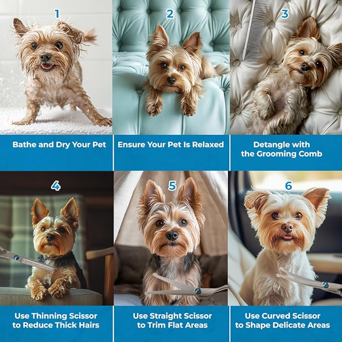 Professional Pet Grooming Scissors Set, 5-in-1 Stainless Steel Kit with Comb