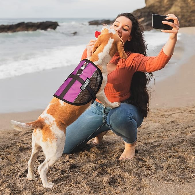 Dogline MaxAire Multi-Purpose Mesh Vest for Dogs and 2 Removable Emotional Support Patches, 30 to 38", Pink