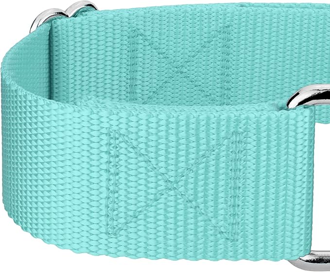 Country Brook Petz 1 1/2 Inch Martingale Heavy Duty Nylon Adjustable Dog Collar for Small, Medium, Large Breeds - Vibrant 17 Color Selection (Light Cyan, Large)
