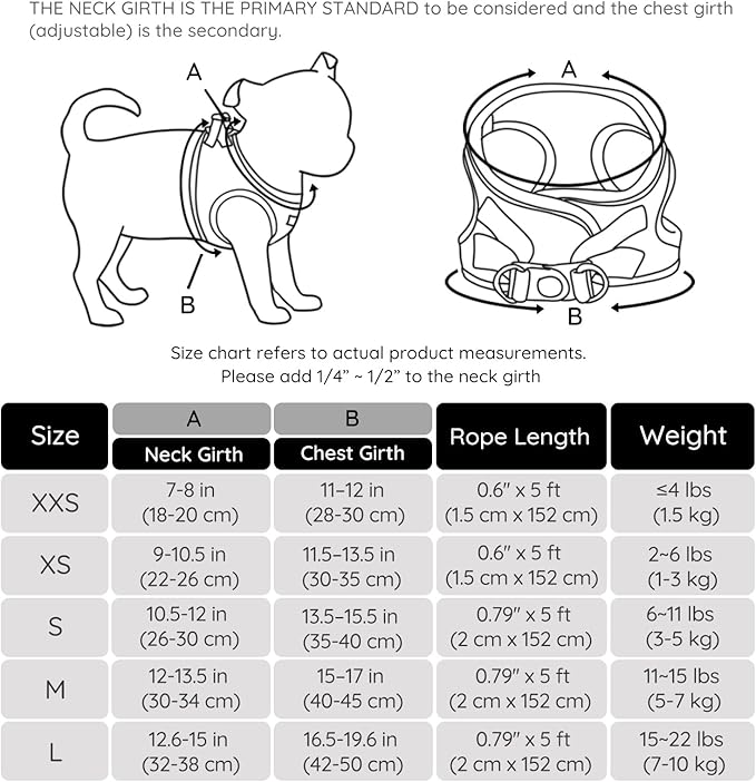BELLA & PAL Puppy Harness with Leash Set, Dog Harness for Small Dogs No Pull, Dog Leash for Small Dogs, Step in Harness for Extra Small Dogs, Black Harness, L