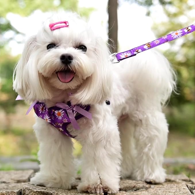 PUPTECK No Pull Dog Harness and Leash Set Reflective No Choke Step in Puppy Halter for XS Small and Medium Sized Dogs, Purple, Printed Fabric, XS