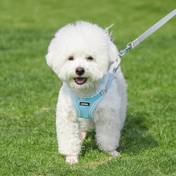 AIITLE Step in Dog Harness and Leash Set - Spring No Pull Escape Proof Vest Harnesses with Soft Mesh and Reflective Bands, Adjustable Pet Outdoor Harnesses for Small and Medium Dogs Blue M