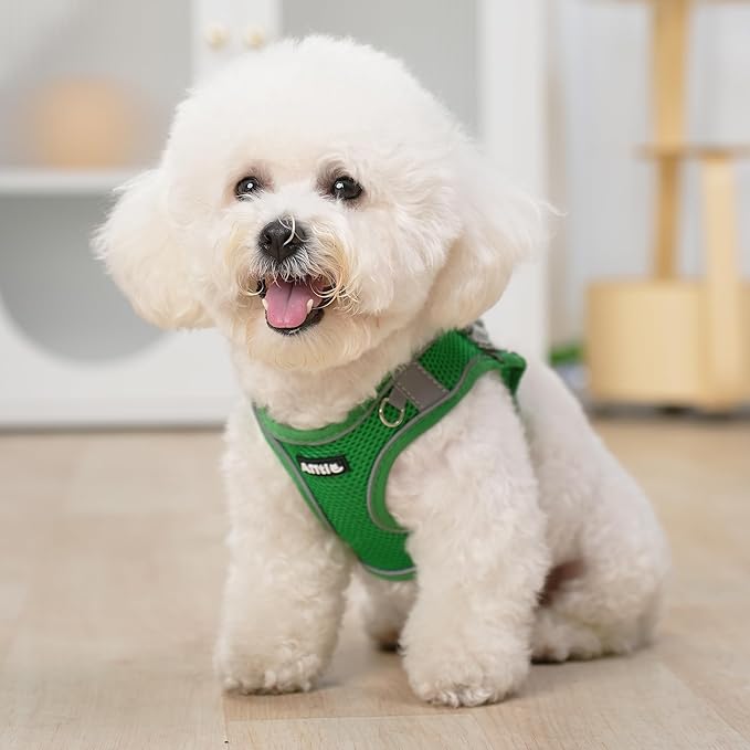 AIITLE Easy Walk Dog Harness and Leash Set - Pet Supply No Pull, Step in Adjustable Dog Harness with Padded Vest for Spring, Dog Harness No Choke Over, Easy to Put on Medium Dogs Green L