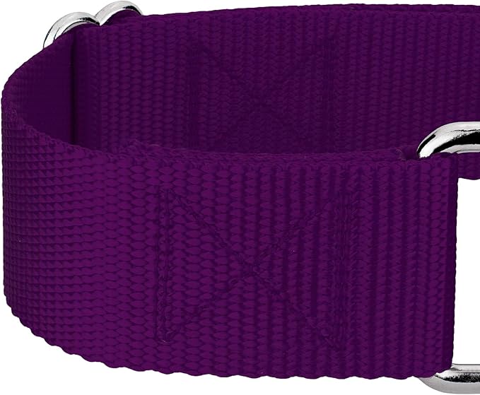 Country Brook Petz 1 1/2 Inch Martingale Heavy Duty Nylon Adjustable Dog Collar for Small, Medium, Large Breeds - Vibrant 17 Color Selection (Purple, Large)