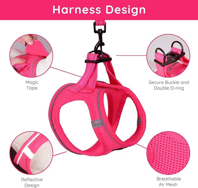 BELLA & PAL Puppy Harness with Leash Set, Dog Harness for Small Dogs No Pull, Dog Leash for Small Dogs, Step in Harness for Extra Small Dogs, Hot Pink Harness, L