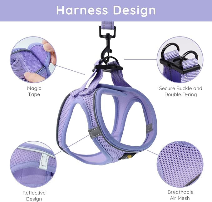 BELLA & PAL Puppy Harness with Leash Set, Dog Harness for Small Dogs No Pull, Dog Leash for Small Dogs, Step in Harness for Extra Small Dogs, Purple Lavender Harness, M