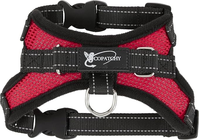 Dog Harness Small Sized Dogs - All Weather Mesh overhead adjustable no pull Vest Puppy reflective Harness with handle for Extra Small and Small Dogs by Copatchy - Harness (Red) X-Small