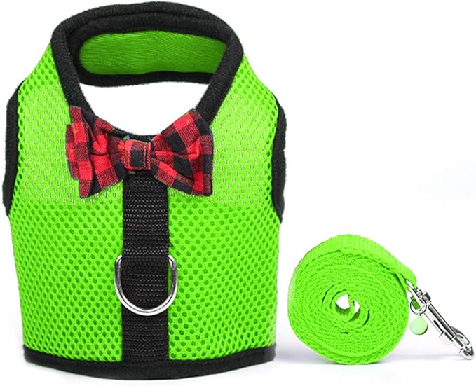 Rypet Small Animal Harness and Leash - Soft Mesh Small Pet Harness with Safe Bell, No Pull Comfort Padded Vest for Small Pet Green S