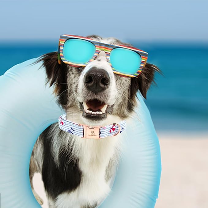 Lionheart glory Dog Collar, Dog Collar Summer Stripe Boy Dog Collar Cute Pet Collar Gift for X-Small Puppy and Cat