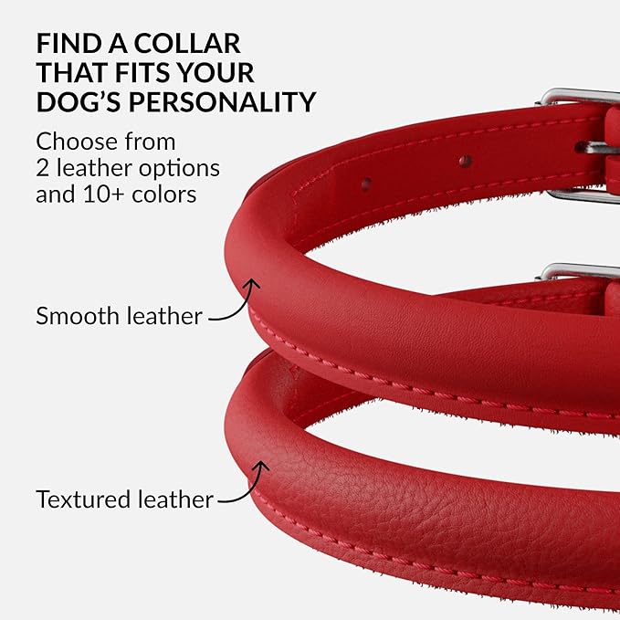 CollarDirect Rolled Leather Dog Collar, Soft Padded Round Puppy Collar, Handmade Genuine Leather Collar Dog Small Large Cat Collars 13 Colors (13-16 Inch, Red Smooth)