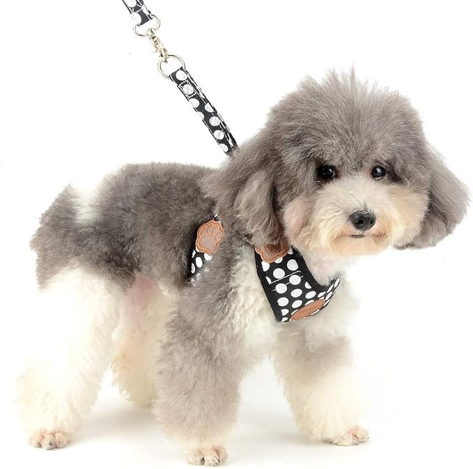 SMALLLEE_LUCKY_STORE New Soft Mesh Nylon Vest Pet Cat Small Medium Dog Harness Dog Leash Set Leads Black, S (Chest:9.5"-13.5",Weight 2-6.5lbs) (CWYP00068-black-s)