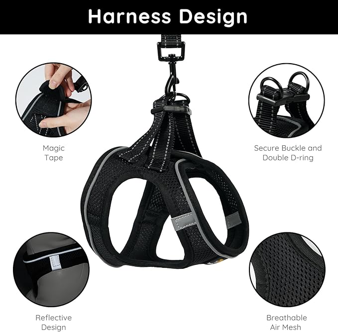 BELLA & PAL Puppy Harness with Leash Set, Dog Harness for Small Dogs No Pull, Dog Leash for Small Dogs, Step in Harness for Extra Small Dogs, Black Harness, L
