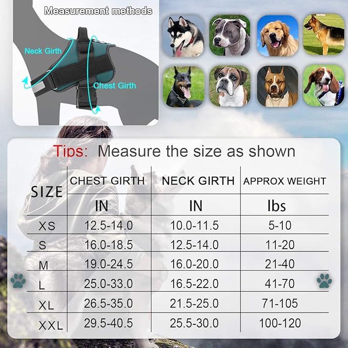 Bolux Dog Harness, No-Pull Reflective Dog Vest, Breathable Adjustable Pet Harness with Handle for Outdoor Walking - No More Pulling, Tugging or Choking (Turquoise, L)