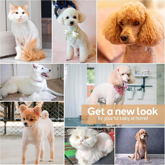 Dogs Hair Clippers Grooming Kit with Nail Grinder, 4 in 1 Cordless Electric Trimmer Low Noise USB Pet Clippers for Dogs Cat,Grooming Paws, Eyes, Ears, Face,Matted Hair