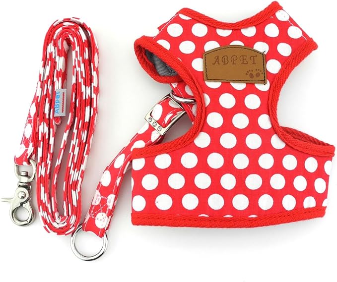 SMALLLEE_LUCKY_STORE CWYP00068-Red-S New Soft Mesh Nylon Vest Pet Cat Small Medium Dog Harness Dog Leash Set Leads ,Red , S