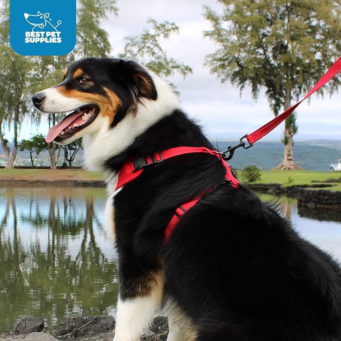 Voyager Step-in Lock Pet Harness - All Weather Mesh, Adjustable Step in Harness for Cats and Dogs by Best Pet Supplies - Turquoise, L