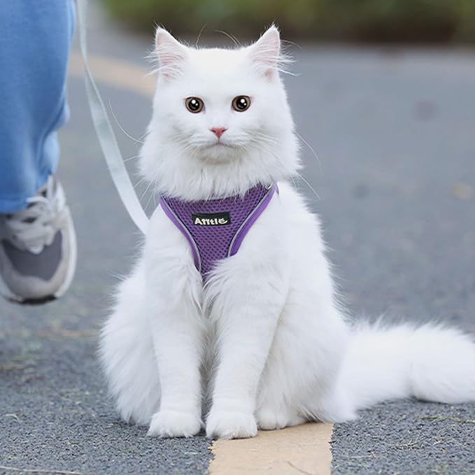 AIITLE Easy Walk Dog Harness and Leash Set - Pet Supply No Pull, Step in Adjustable Dog Harness with Padded Vest for Spring, Dog Harness No Choke Over, Easy to Put on Medium Dogs Pure Purple L