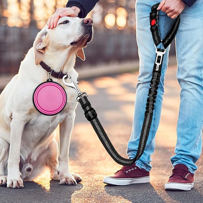 4-in-1 Removable Dog Seat Belt for Car: Adjustable Pet Car Harness, Retractable Dog Car Harness Seatbelt with Poop Bag and Dog Bowl, Restraint Secures to Vehicle Headrest, Black