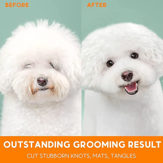 Candure Pet Friendly Double-Sided Dematting Undercoat Rake and Comb for Effective Hair Removal and Shedding Control in Dogs & Cats (Small, Green)