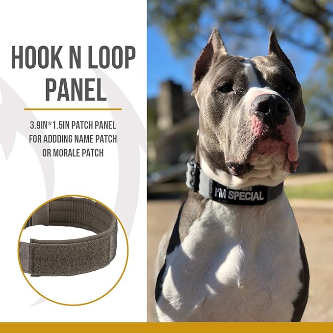 OneTigris Military Adjustable Dog Collar with Metal D Ring & Buckle 2 Sizes (Coyote Brown, M)