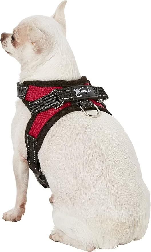 Dog Harness Small Sized Dogs - All Weather Mesh overhead adjustable no pull Vest Puppy reflective Harness with handle for Extra Small and Small Dogs by Copatchy - Harness (Red) X-Small