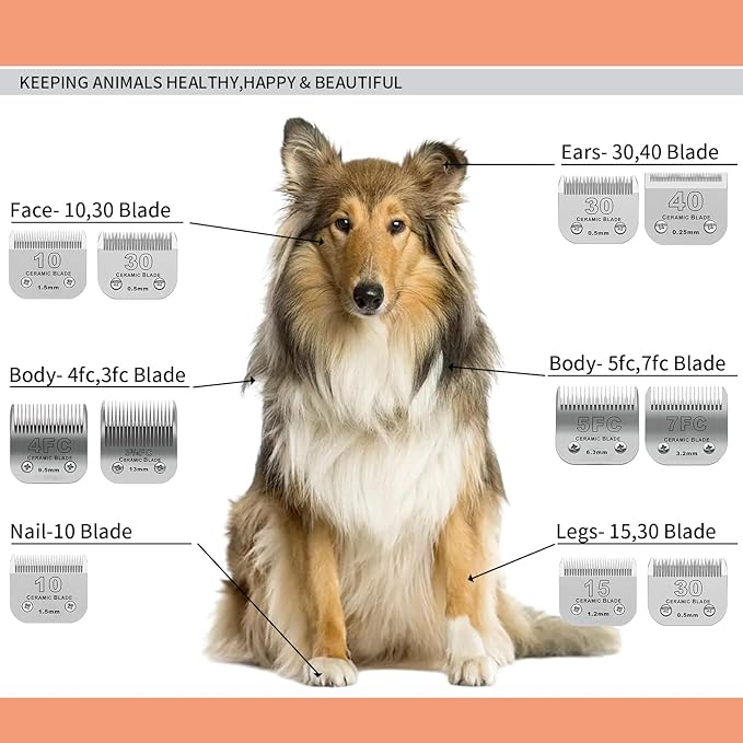 3 Pack 3-3/4FC Detachable Pet Dog Grooming Ceramic Blades,Compatible with Andis,Oster A5,Wahl KM-10 Series,Size 3-3/4FC Blade 1/2-Inch 13MM Cut Length