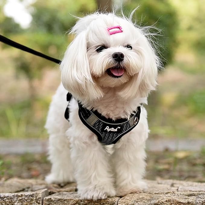 PUPTECK No Pull Dog Harness and Leash Set Reflective No Choke Step in Puppy Halter for XS Small and Medium Sized Dogs, Grey, Breathable Mesh, S