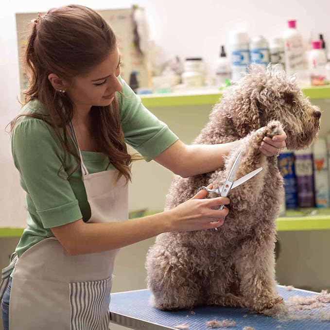 Purple Dragon 6.5" 46 Tooth Professional Pet Grooming Scissors - Dog Thinning/Blending Shears - Animal Hair Trimmer for Pet Groomer or Family DIY