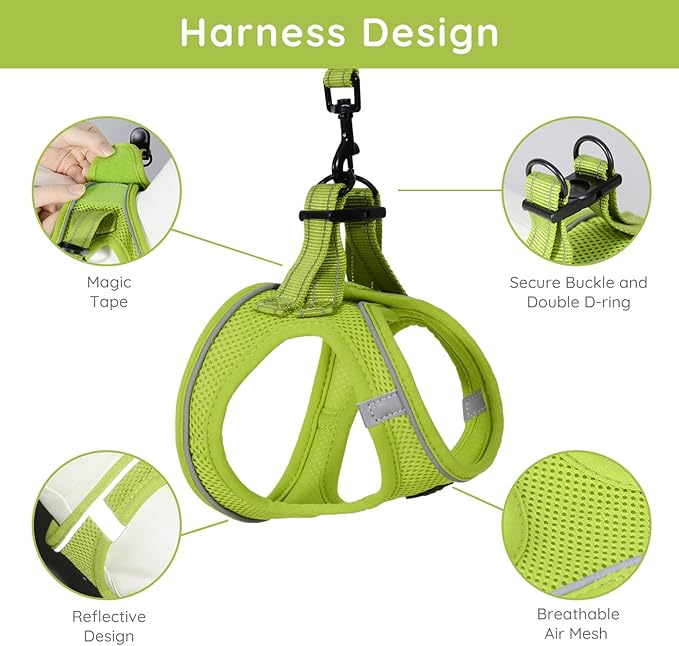 BELLA & PAL Puppy Harness with Leash Set, Dog Harness for Small Dogs No Pull, Dog Leash for Small Dogs, Step in Harness for Extra Small Dogs, Avocado Green Harness, XXS