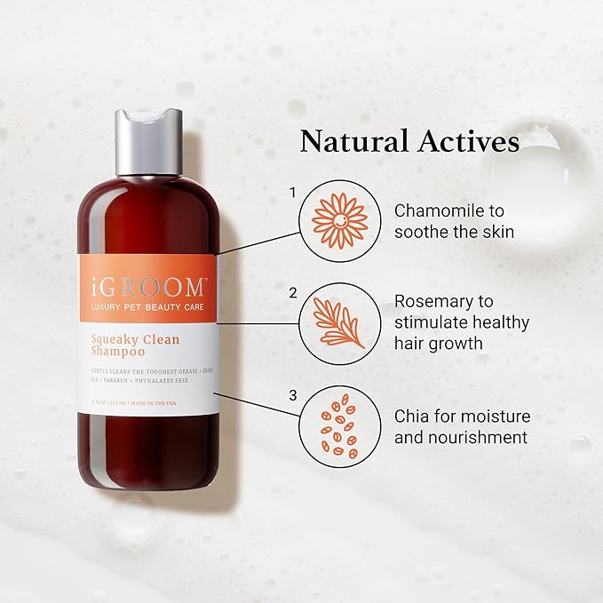 iGroom Squeaky Clean Dog Shampoo, Luxury Pet Beauty Care, Intense Cleaning Power, Chamomile Extracts Sooth Skin, Made in USA (16 OZ)