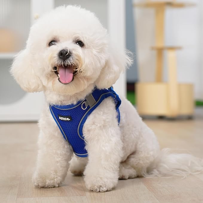AIITLE Easy Walk Dog Harness and Leash Set - Pet Supply No Pull, Step in Adjustable Dog Harness with Padded Vest for Spring, Dog Harness No Choke Over, Easy to Put on Medium Dogs Royal Blue L