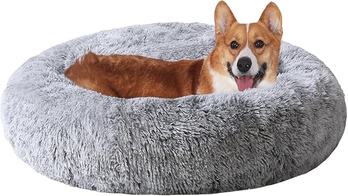 JOLLYVOGUE Dog Beds, Calming Small Dog Bed, Anti-Anxiety Dog Bed for Small Dogs, Fluffy Donut Dog Bed, Cozy Dog Cat Cushion Bed for Small Medium Dogs (24")