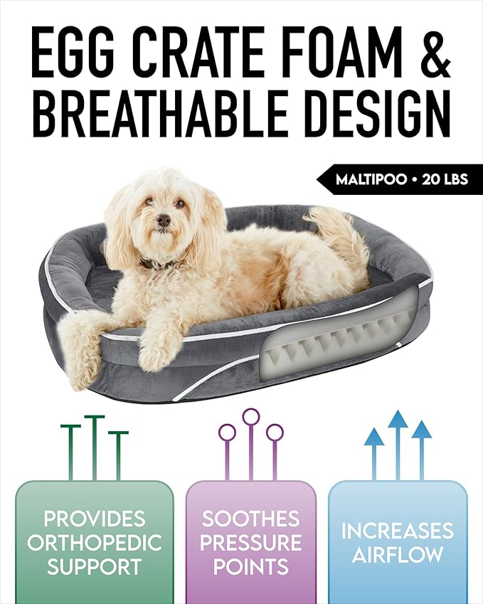 OhGeni Orthopedic Dog Bed for Medium Dogs, Dog Couch Design with Egg Foam Support, Removable, Machine Washable Plush Cover and Non-Slip Bottom with Four Sided Bolster Cushion (Gray)