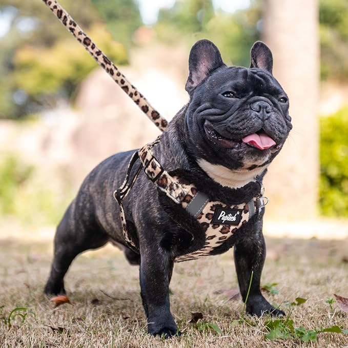 PUPTECK No Pull Dog Harness and Leash Set Reflective No Choke Step in Puppy Halter for XS Small and Medium Sized Dogs, Brown Leopard Print, Plush, L
