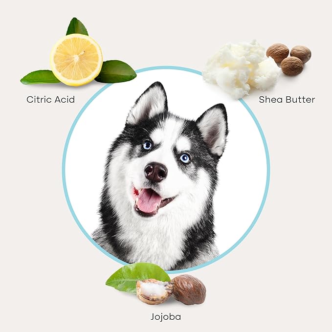 Uproot Clean Dog Cleaning Gloves: 1 Month Supply - Extra-Thick Pet Glove Wipes for Dogs & Cats - Easy Wipe Paws, Eyes, Ears, Butt, & Body - Lick-Safe - Cleaning, Deodorizing & Grooming (6 Pack)