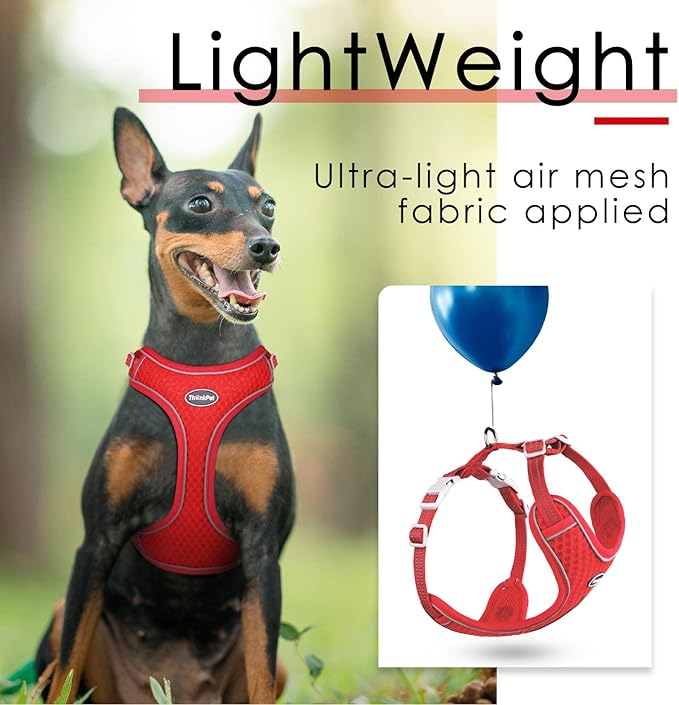 ThinkPet Harness and Leash Set Reflective Breathable Soft Air Mesh No Pull Puppy Choke Free Over Head Vest Ventilation Harness with Leash for Puppy Small Medium Dogs and Cats