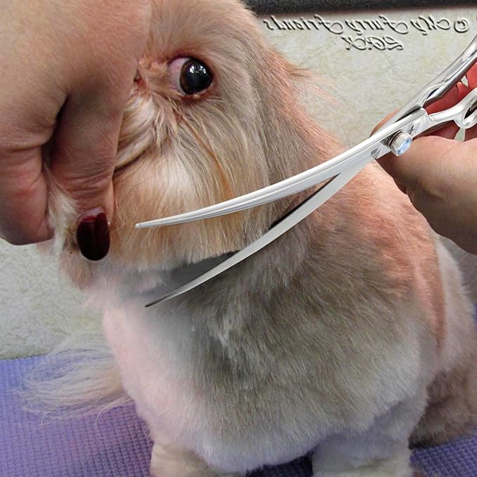 PURPLEBIRD 8 Inch Left Handed Downward Curved Dog Grooming Scissors Professional Pet Cutting Shears Safety Noiseless Blunt Tip Trimming Shearing for Dogs Cats Japanese Stainless Steel Silver