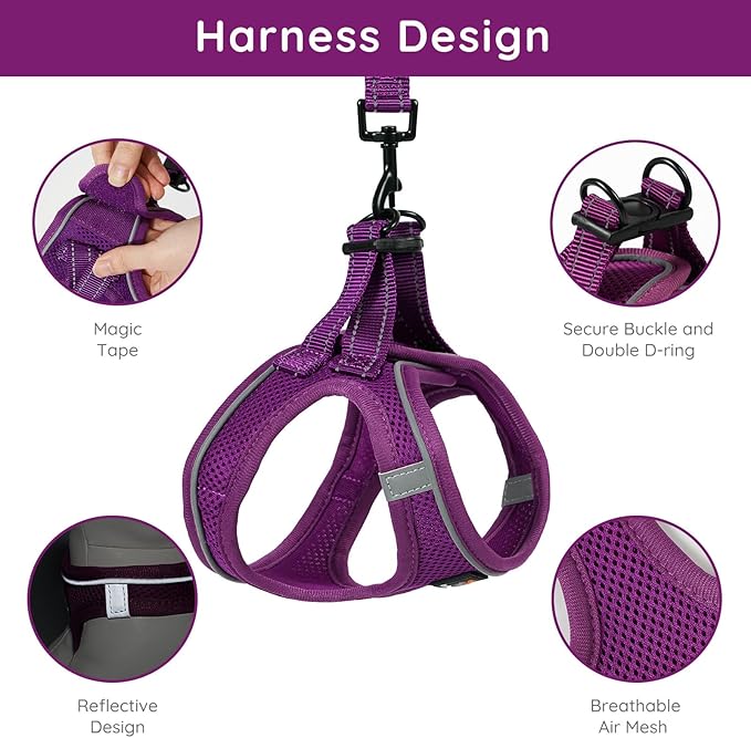 BELLA & PAL Puppy Harness with Leash Set, Dog Harness for Small Dogs No Pull, Dog Leash for Small Dogs, Step in Harness for Extra Small Dogs, Deep Purple Harness, S