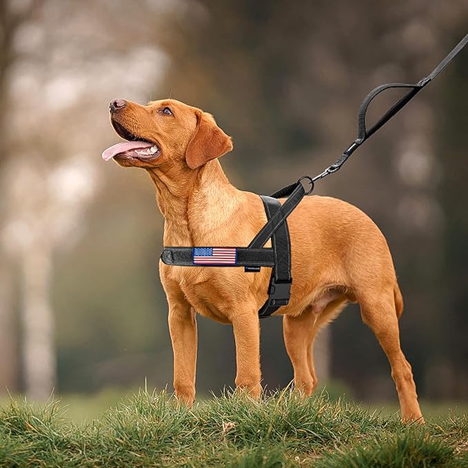 Annchwool No Pull Dog Harness with Soft Padded Handle,Reflective Strip Escape Proof and Quick Fit to Adjust Dog Harness,Easy for Training Walking for Small & Medium and Large Dog(Black,L)