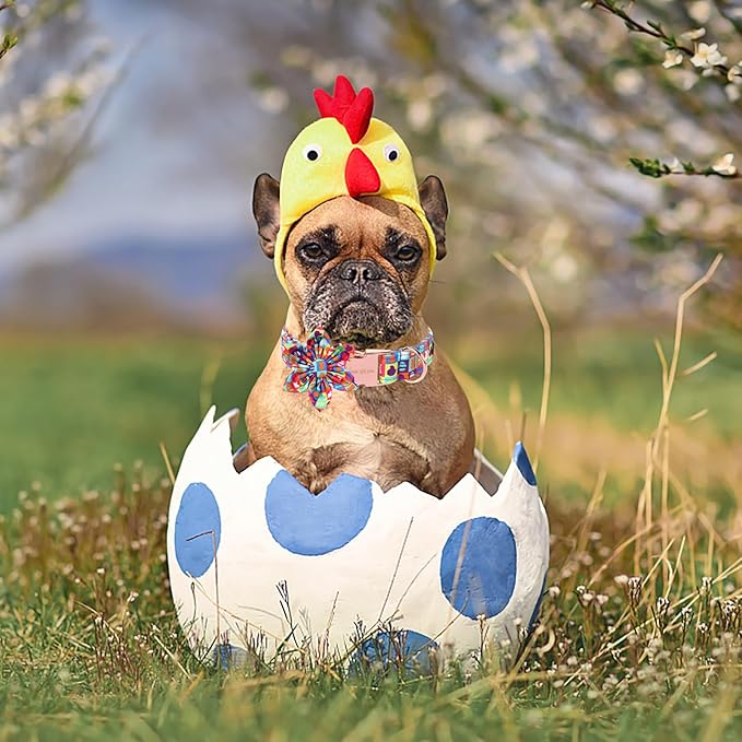 Unique Style Paws Easter Day Dog Collar with Bow Colorful Egg Rabbit Dog Collar Bowtie Bowtie Collar for Large Medium Small Dogs