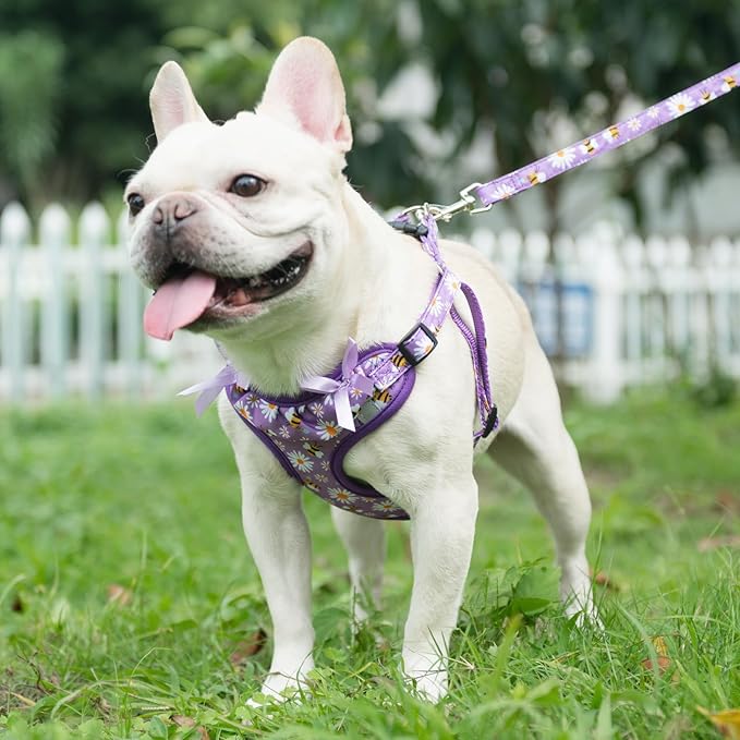 PUPTECK No Pull Dog Harness and Leash Set Reflective No Choke Step in Puppy Halter for XS Small and Medium Sized Dogs, Purple, Printed Fabric, M