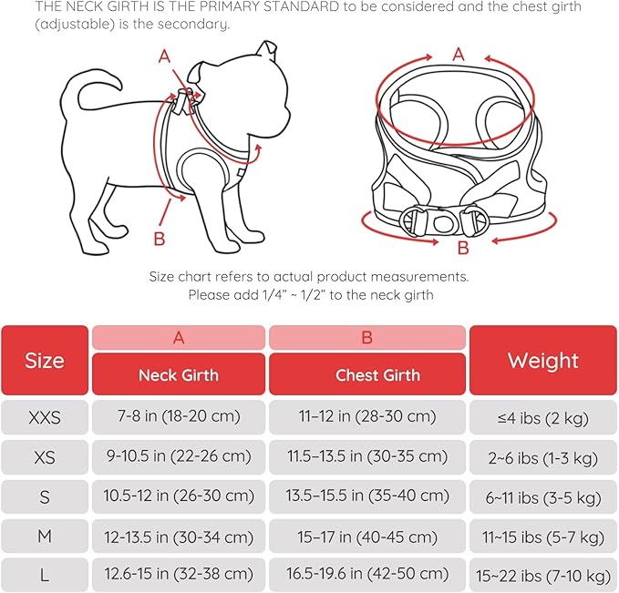 BELLA & PAL Puppy Harness with Leash Set, Dog Harness for Small Dogs No Pull, Dog Leash for Small Dogs, Step in Harness for Extra Small Dogs, Red Harness, M