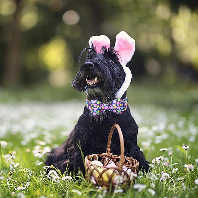Unique Style Paws Easter Day Dog Collar with Bow Colorful Egg Rabbit Dog Collar Bowtie Bowtie Collar for Large Medium Small Dogs