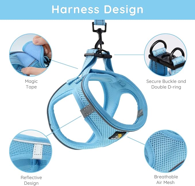BELLA & PAL Puppy Harness with Leash Set, Dog Harness for Small Dogs No Pull, Dog Leash for Small Dogs, Step in Harness for Extra Small Dogs, Blue Harness, M