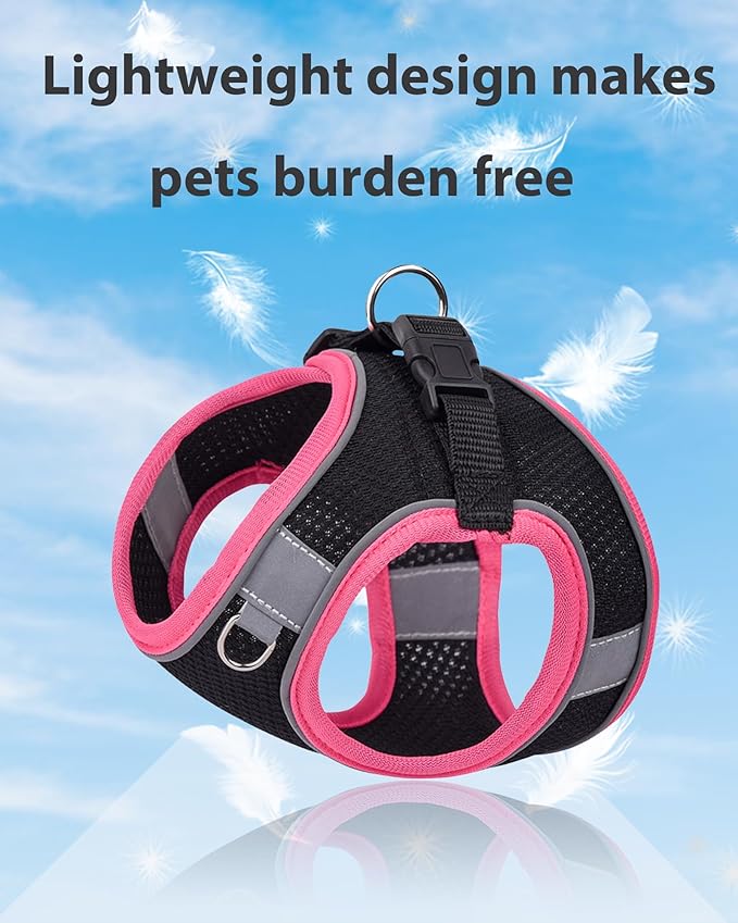 Dog Harness for Small Medium Sized Dog, Puppy Harness and Leash Set Training, Dog Harness and Leash Set, Dog Vest Harness, Dog Harness Small Sized Dog, Small Dog Harness. (Black, XXS)